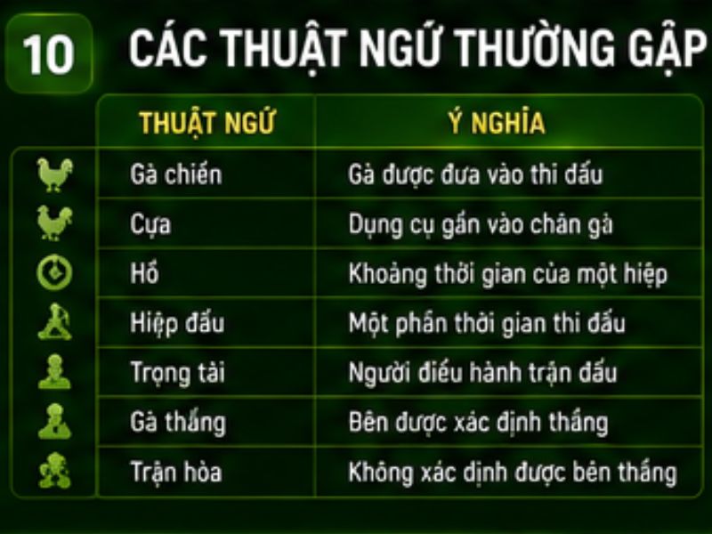 Các Thuật Ngữ Thường Gặp Trong Đá Gà