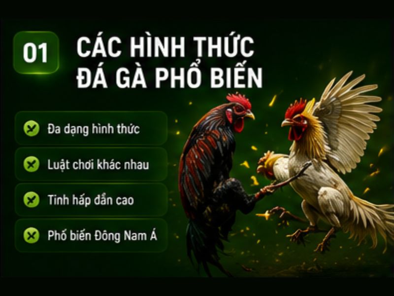 Đá Gà 69VN Là Gì?