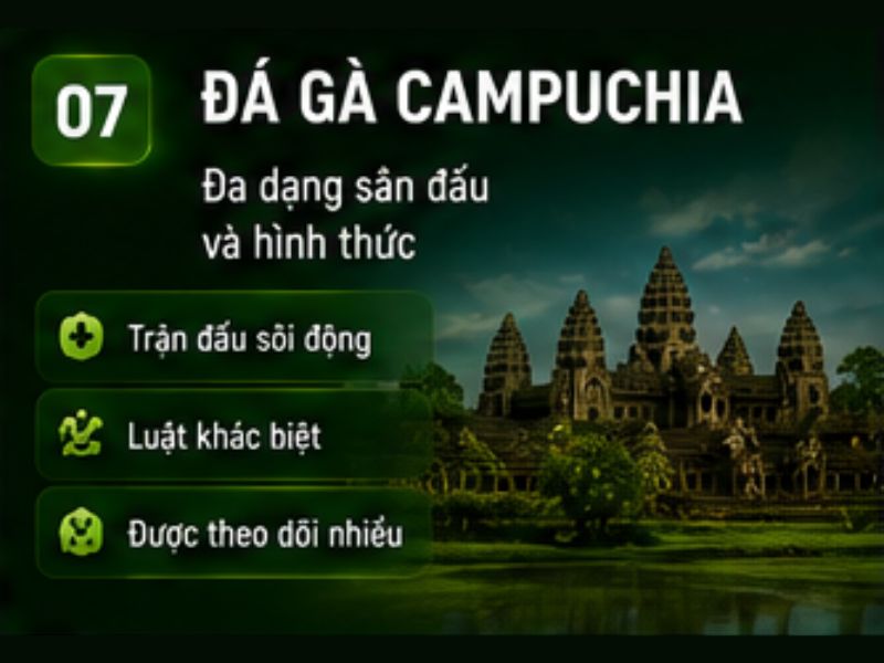 Đá gà Campuchia