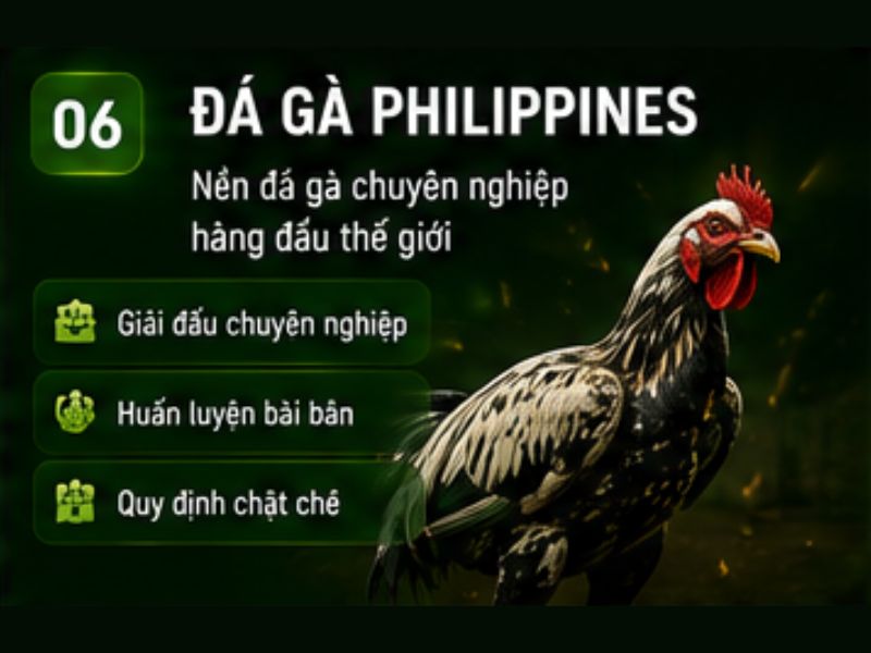 Đá gà Philippines