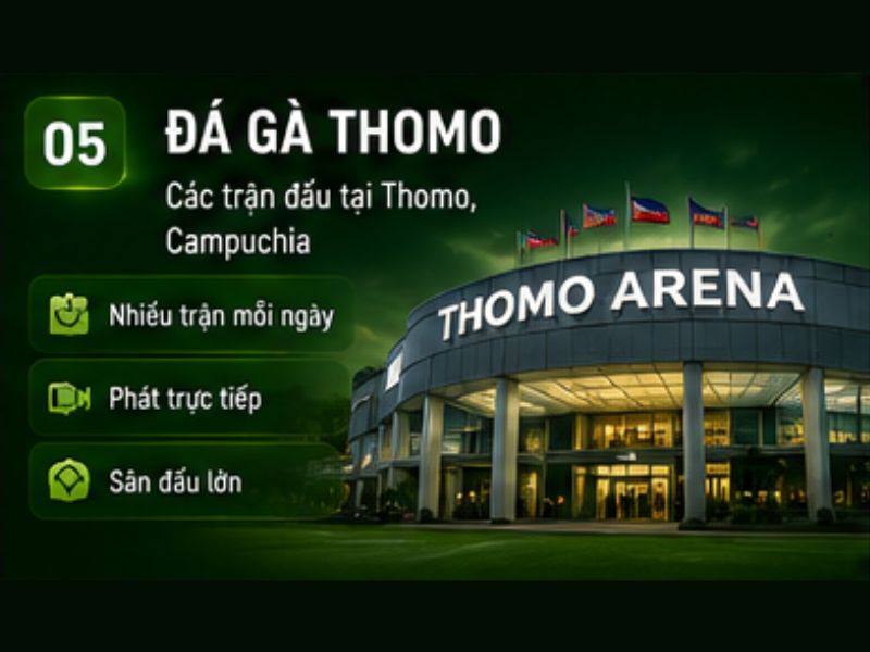 Đá gà Thomo