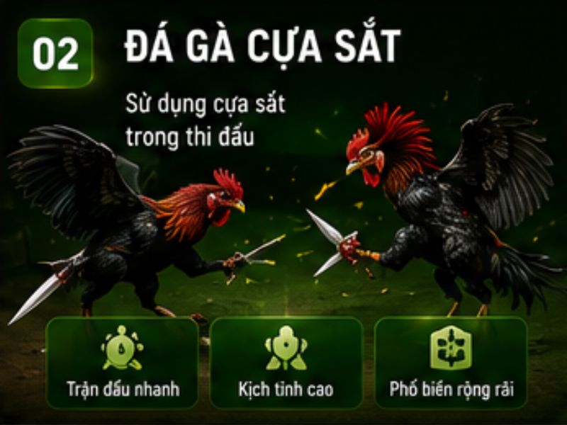 Đá gà cựa sắt