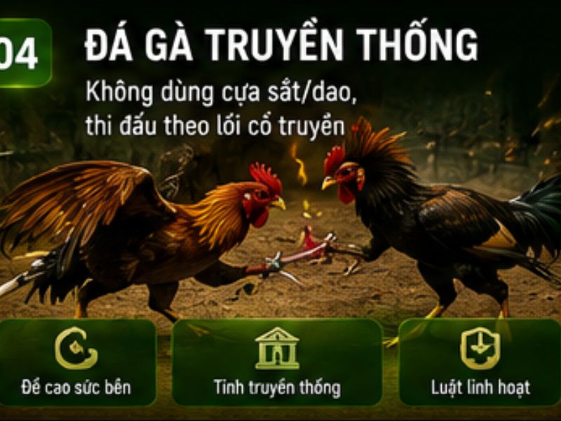 Đá gà truyền thống