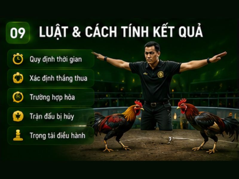 Luật Và Cách Tính Kết Quả Đá Gà