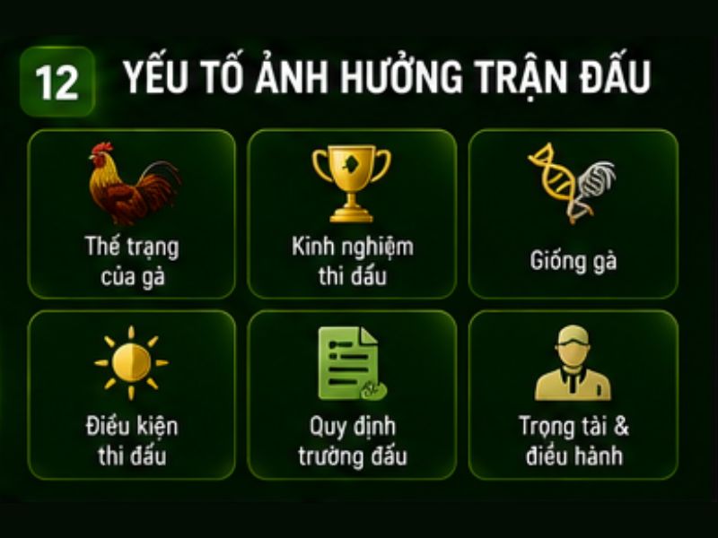 Những Yếu Tố Ảnh Hưởng Đến Một Trận Đá Gà